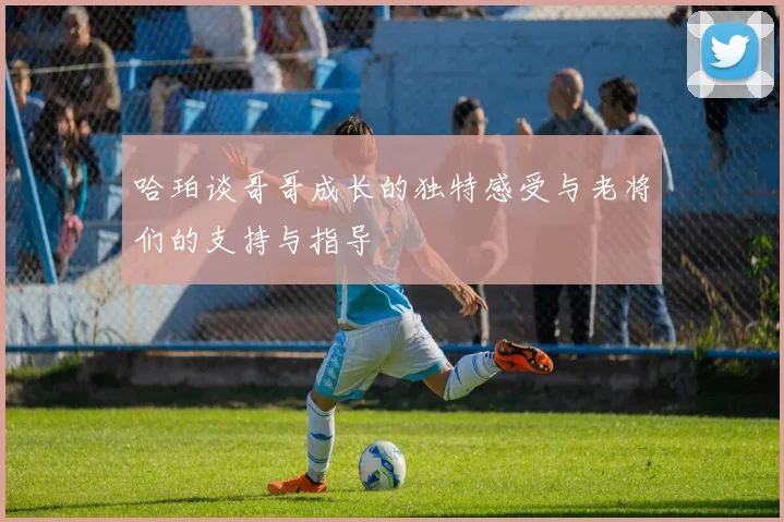 哈珀谈哥哥成长的独特感受与老将们的支持与指导
