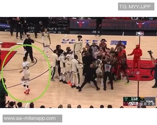 武切维奇幽默调侃字母哥暴扣背后原因引发热议